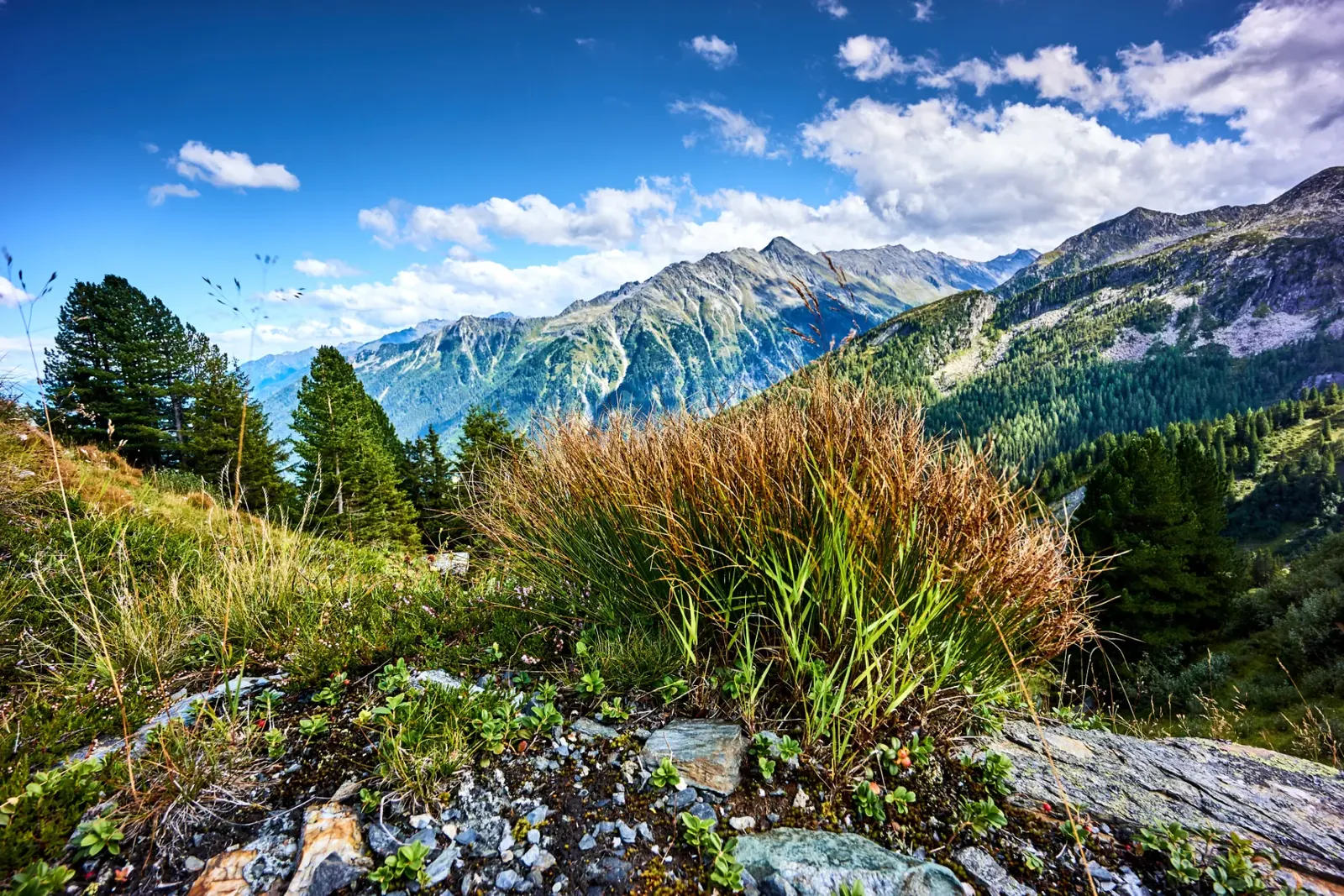 Hochgebirgslandschaft in den Hohen Tauern