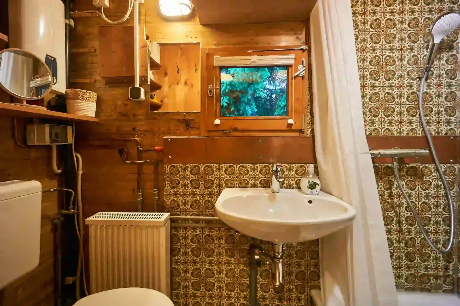 Paul: Shower room with WC
